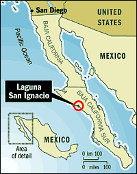 Baja Map JPG