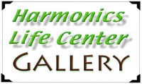 Harmonics Life Gallery